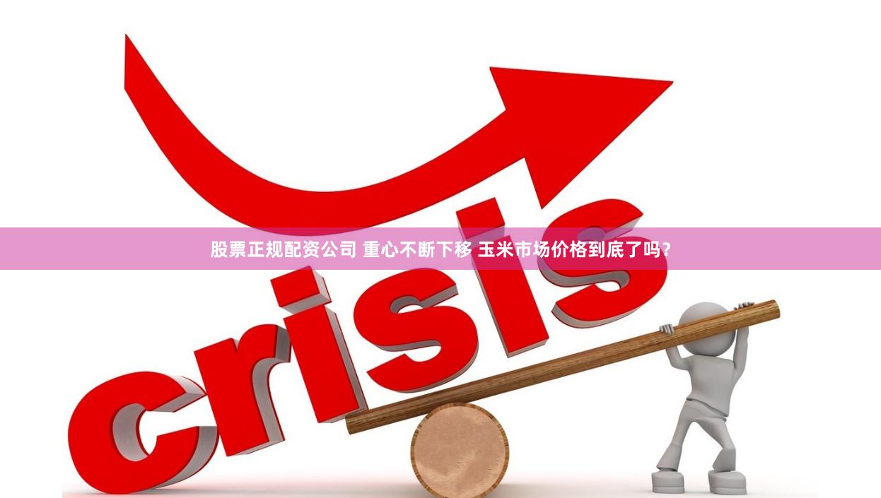 股票正规配资公司 重心不断下移 玉米市场价格到底了吗？