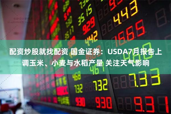 配资炒股就找配资 国金证券：USDA7月报告上调玉米、小麦与水稻产量 关注天气影响